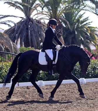 Dressage trainer photo