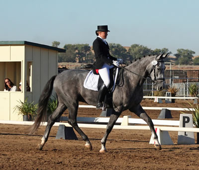 dressage trainer
