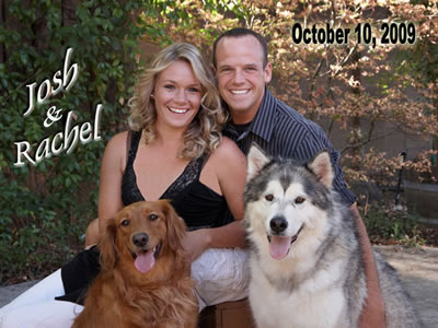 Dressage trainer photo